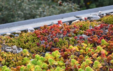 the cost of Templemans Ash green roof installation