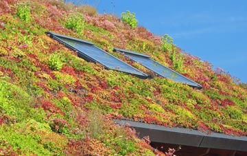 Templemans Ash living roof systems