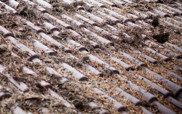 Templemans Ash roof cleaning companies