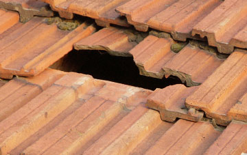 roof repair Templemans Ash, Dorset