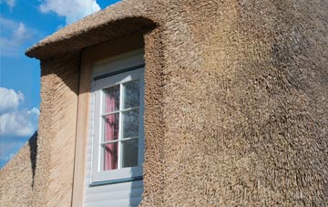 Templemans Ash thatch roof disadvantages